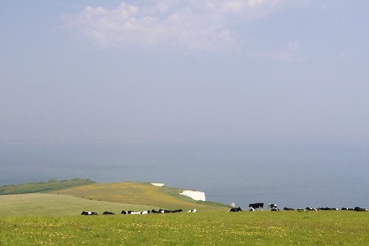 Agricultural Water Management