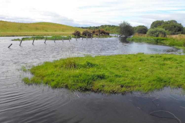 Flood risk